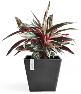 Ecopots Rotterdam Square Flower Planter, Dark Grey, 12" - Image 5