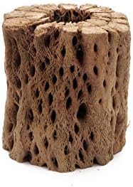 3 to 48 Inch All Natural Teddy Bear Cholla Wood Extra Hollow Large Untreated Organic Aquarium Driftwood Decoration Chew Toy Shrimp Crab Multi-Quantity (3 Pieces, 3 inch) - Image 5