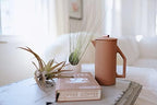 White Ceramic Wall Planter with Assorted Air Plants - Live Tillandsia in Plant Holder – Succulent Plant Vase - Home and Garden Decor - Easy Care Plant (3 Large Planters with 3 Air Plants) - Image 5