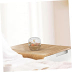 Glass Plant Terrarium Jar for Hydroponic Plants and Micro Landscapes - Image 7