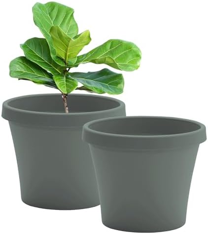 Bloem Terra 16" Plastic Planter, 8 Gallon, Basil, 2-Pack by Bloem