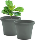 Bloem Terra 16" Plastic Planter, 8 Gallon, Basil, 2-Pack by Bloem