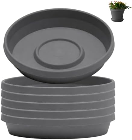 Bloem Terra Plastic Saucer Tray for 10" Terra Planters, Charcoal, 6-Pack by Bloem