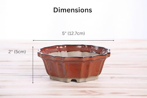 Willow Bonsai Ceramics Flower Design Bonsai Pot 5 Inch – Elegant Ceramic Bonsai & Succulent Pot, High‑Fired Frost‑Proof Stoneware with Drainage+Wiring Holes, Handmade USA (Sunset, 5inch) - Image 4