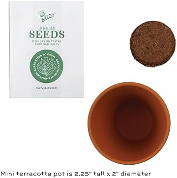 BUZZY Seeds Assorted Flower Grow Kit 12-Pack, Terracotta Pots, 6 Types - Image 4