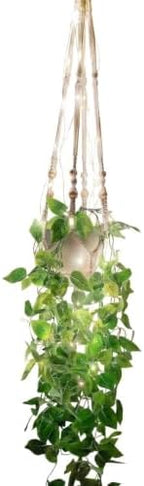 Artificial Hanging Plants 2 Pack with Lights, Macrame Hanger, by Unknown