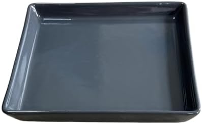 Square Plant Saucer 10 Inch 1 Pack，Plant Trays for Pots, Gray Ceramic Plant Saucers for Indoors Outdoors, Plant Drip Tray 4 6 8 10 12 14 Inch by Unknown