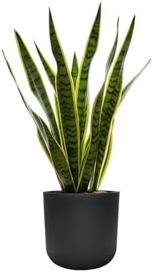 11"H Black Plastic Planter with Drainage Hole & Plug for Indoor Outdoor Use - Image 6