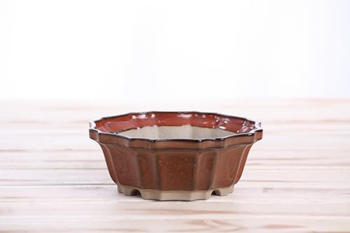 Willow Bonsai Ceramics Flower Design Bonsai Pot 5 Inch – Elegant Ceramic Bonsai & Succulent Pot, High‑Fired Frost‑Proof Stoneware with Drainage+Wiring Holes, Handmade USA (Sunset, 5inch) - Image 3