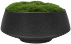 Black Ceramic Moss Bowl | 8 Inch | Artificial Moss Centerpiece | Decorative Table Bowl by Unknown
