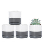 D'vine Dev 4-Pack Ceramic Pots with Saucers, White/Grey, 3.5 in, 94-X-A-6 by DvineDevPlanterPotsandStand