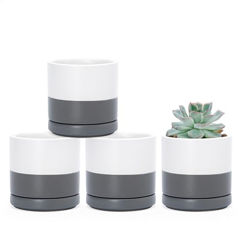 D'vine Dev 4-Pack Ceramic Pots with Saucers, White/Grey, 3.5 in, 94-X-A-6 by DvineDevPlanterPotsandStand