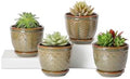 Sureasy Ceramic Plant Pots, 4.7 Inch Flower Pots for Indoor Plants, Succulent Pots with Saucer and Drainage Hole, Decorative Planter for Succulent, Cactus, Set of 4, Green by Sureasy