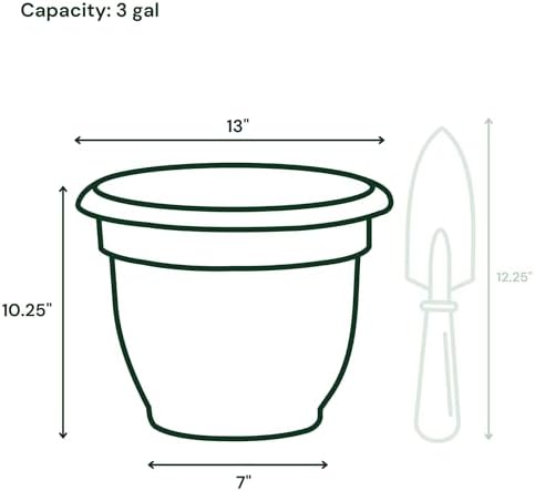 Bloem Ariana 12" Plastic Self-Watering Planter, Basil, 2-Pack - Image 4
