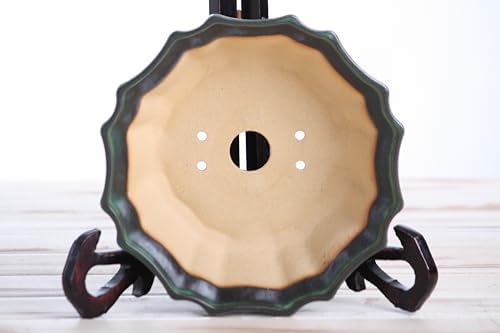 Willow Bonsai Ceramics Flower Design Bonsai Pot 6.5 Inch – Elegant Ceramic Bonsai & Succulent Planter, High‑Fired Frost‑Proof Stoneware with Drainage & Wiring Holes, Handmade in USA (Avocado) - Image 5