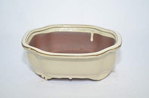 Bonsai Ceramic Pot 7", Hexagon Shape, Beige Color, Glazed with draining Holes. - Image 2