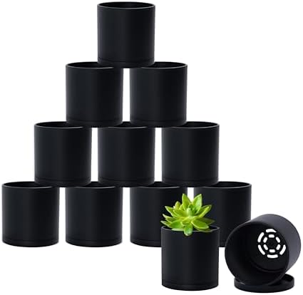D'vine Dev 12-Pack Mini Black Plastic Planters with Saucers, 3 in, 74-Y-C-4 by DvineDevPlanterPotsandStand