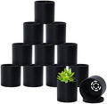 D'vine Dev 12-Pack Mini Black Plastic Planters with Saucers, 3 in, 74-Y-C-4 by DvineDevPlanterPotsandStand
