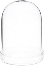 Plymor 3" x 4" Glass Display Dome Cloche (Clear Glass Tray Base), Pack of 6 by Plymor