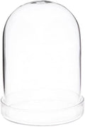 Plymor 3" x 4" Glass Display Dome Cloche (Clear Glass Tray Base), Pack of 12 by Plymor