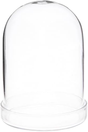 Plymor 3" x 4" Glass Display Dome Cloche (Clear Glass Tray Base), Pack of 12 by Plymor