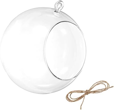 PATIKIL Round Globe Terrarium Air Plant Planter, 6.3 Inch Clear by PATIKIL