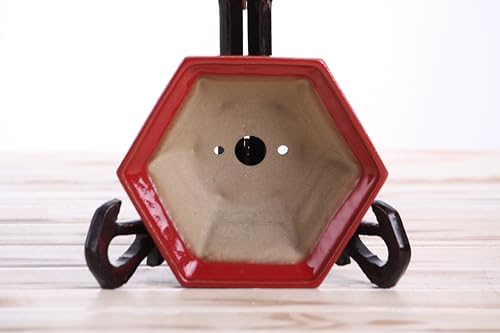 Willow Bonsai Ceramics Hexagonal Windowed Semi-Cascade Bonsai Pot, 5inch, Plant Container, Succulant Pot, High Fired Ceramic Stoneware, Frost Proof (Red) - Image 5