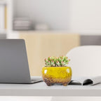 ARTKETTY Succulent Pots, Small Plant Pot with Drainage, Ceramic Planters - Image 7