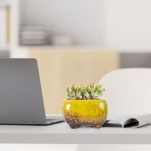ARTKETTY Succulent Pots, Small Plant Pot with Drainage, Ceramic Planters - Image 7
