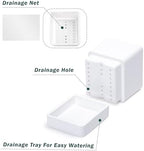D'vine Dev 6-Pack Plastic Herb Planter Pots, 4 in, White, 76-Y-A6-1 - Image 3