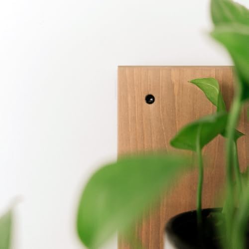 Daniel's Plants 3-Pack Mid-Century Modern L-Shaped Floating Shelves | Solid Wood Plant Ledge | Wall Mounted Shelf Kit (Prairie Sand) - Image 5