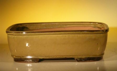 Bonsai Boy L199 12 x 9.5 x 3.375 in. Ceramic Bonsai Pot Olive Green - Rectangle by Bonsai+Boy
