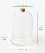 Handblown 12" Glass Terrarium with Opening for Air Flow & Cork Stopper Cloche Style Glass Dome Vivarium Display Case (Extra Large) - Image 2