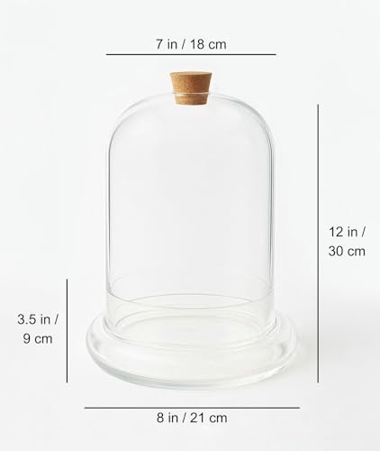 Handblown 12" Glass Terrarium with Opening for Air Flow & Cork Stopper Cloche Style Glass Dome Vivarium Display Case (Extra Large) - Image 2