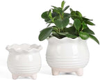 Fayoula Ceramic Planter, 2 Piece Ceramic Planter Set with Drainage Hole for Home and Office, Indoor Plant Potting, Suitable for Succulents, Bonsai, Snake Grass and Money Tree, etc. (White) by FayoulasGarden