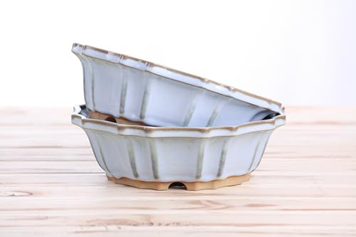 Willow Bonsai Ceramics Flower Design Bonsai Pot 8 Inch – Elegant Ceramic Bonsai & Succulent Pot, High‑Fired Frost‑Proof Stoneware with Drainage+Wiring Holes, Handmade USA (Glacier, 8inch) - Image 7