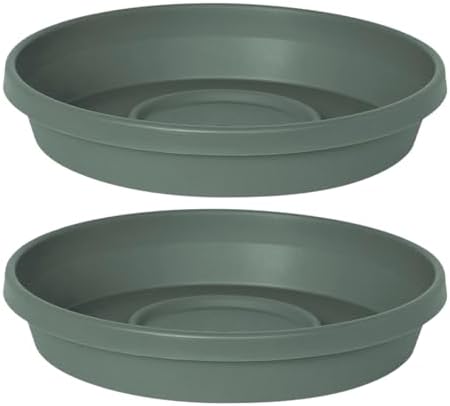 Bloem Terra 24" Round Plastic Plant Saucer, Lightweight UV-Resistant Indoor/Outdoor Flower Pot Tray - Fits 24-inch Planter Pots, Basil, 2-Pack by Bloem