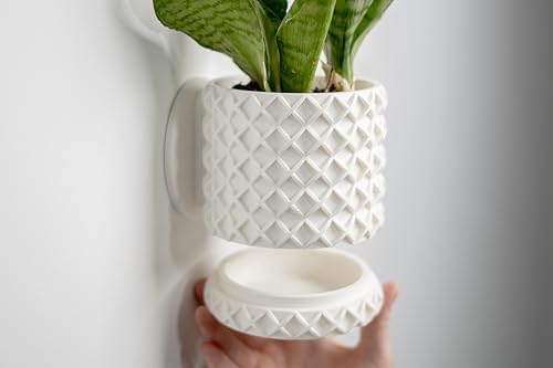 Modern Wall Planter for Indoor Plants (Matte Light Brown, Medium) - Image 4