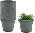 Bloem Terra 6" Plastic Planter, 0.5 Gallon, Basil, 10-Pack by Bloem