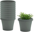 Bloem Terra 6" Plastic Planter, 0.5 Gallon, Basil, 10-Pack by Bloem