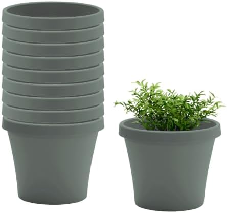 Bloem Terra 6" Plastic Planter, 0.5 Gallon, Basil, 10-Pack by Bloem