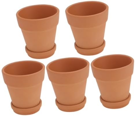 Red Clay Succulent Pots with Drainage and 5 Saucers, 8x8 Cm Terracotta Plant Containers for Indoor and Outdoor Gardening, Breathable Flower Planters Set of 5 by DIYEAH