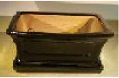 Bonsai Boy L240 Rectangle Ceramic Bonsai Pot with Attached Humidity & Drip Tray - Professional Series Black by Bonsai+Boy