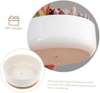 Ceramic Succulent Pot with Tray, White round Planter for Small Plants - Image 3