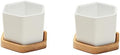Mikikit White Ceramic Hexagonal Succulent Pots 2 Sets with Bamboo Tray by Mikikit