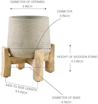 Serene Spaces Living Minimalist Cement Planter with Wooden Legs – Sleek Planter for Succulents, Cacti, Indoor Greenery, Versatile, Durable Plant Pot for Home or Office, 8" Diameter & 9" Tall - Image 5
