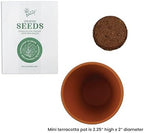BUZZY Seeds Holiday Sweater Grow Kit 12-Pack, Terracotta Pots, Assorted - Image 4