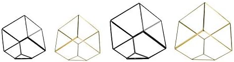 WGVI WGV Geometric Planter Terrarium Bulk, Clear Glass with Gold Frame, Tilted Cube, Width 11.5" Height 12", DIY Succulent Air Plant Miniature Fairy Garden Windowsill Tabletop Decor, 4 Pieces - Image 5