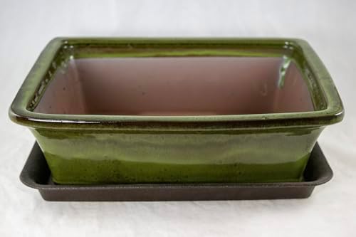 Yubonzai Rectangular Moss Green Glazed Bonsai Pot, Cactus & Succulent Planter + Tray + Mesh - 12"x 9.25"x 4" by Unknown