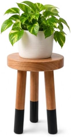 Rubber Wood 9" Round Plant Stand |Dip Dyed Black Stool, Wood Riser |Milking Stool (12" H) by JOLLYMER